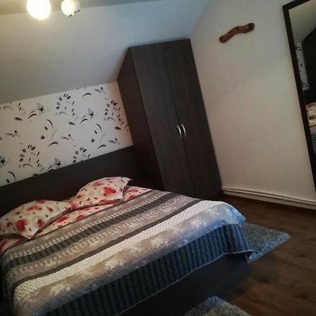 Vila Casa Raul Rucăr Exteriér fotografie